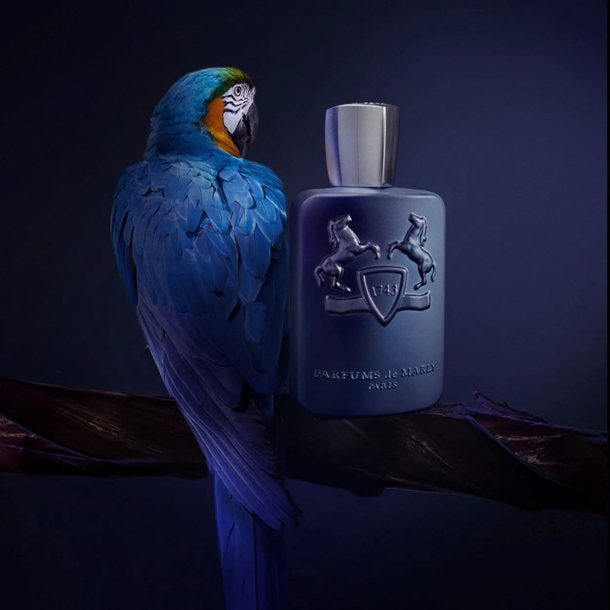 Parfums De Marly Layton Exclusif Eau De Parfum For Men 125 ML
