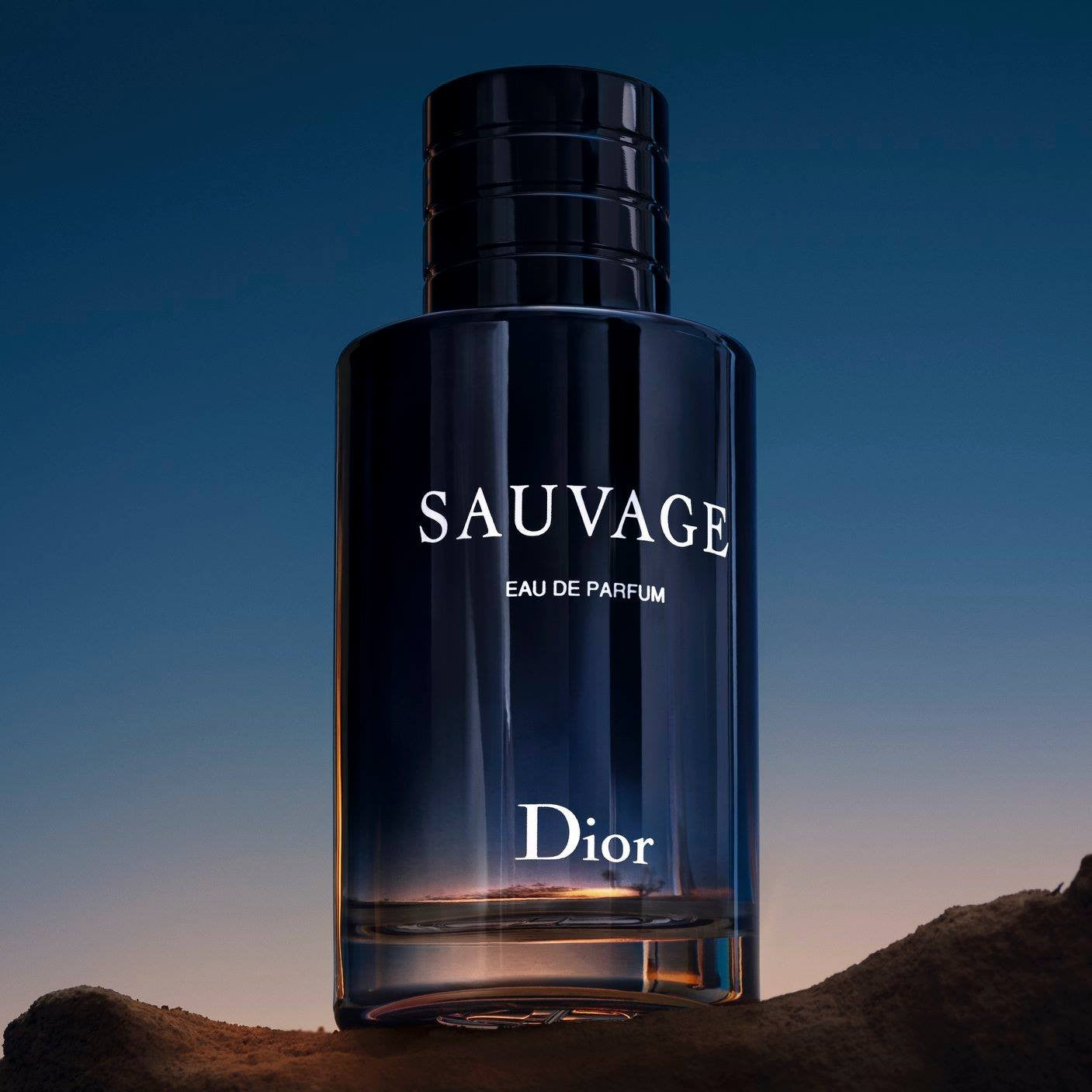 Dior Sauvage Eau de Parfum - 100ml