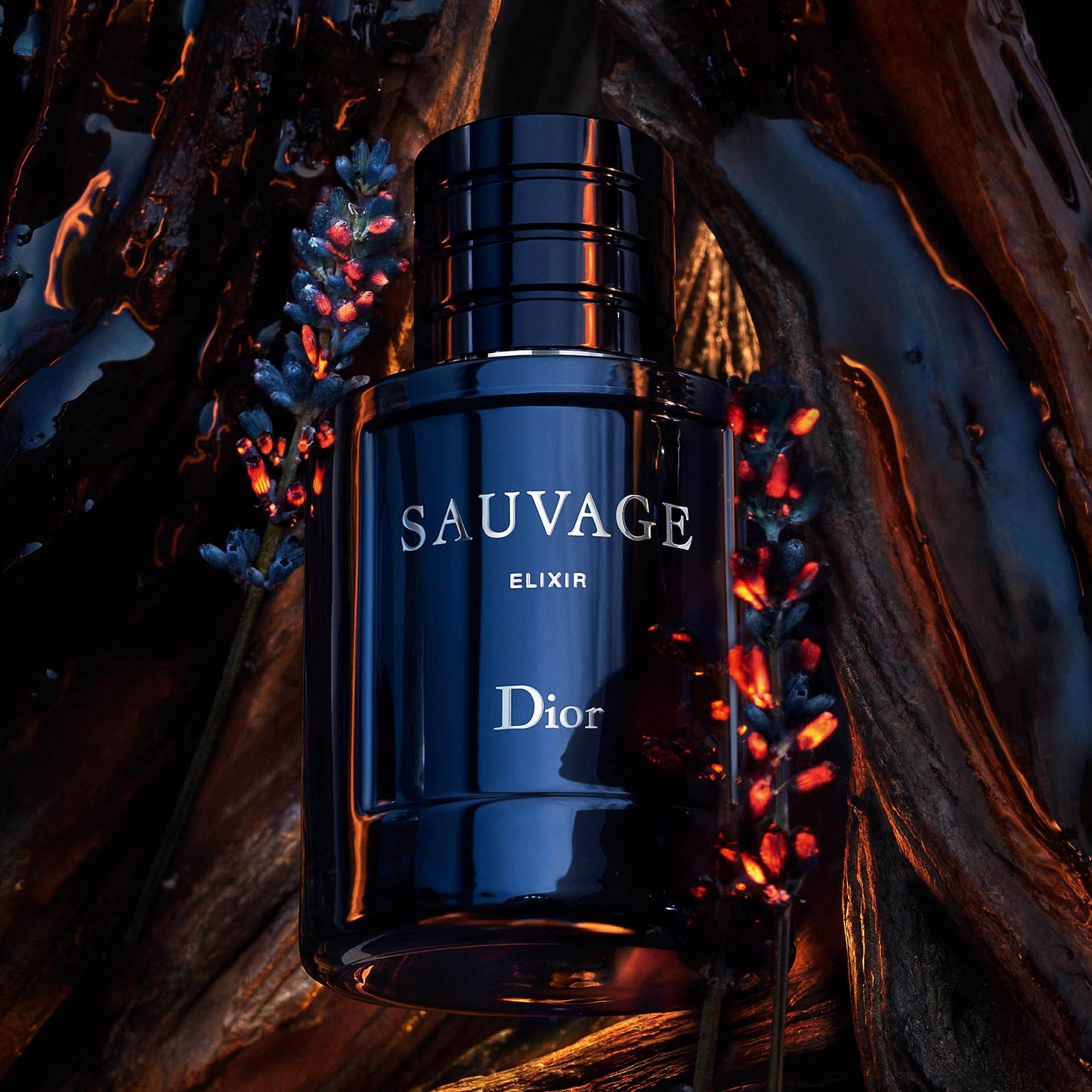 Dior Sauvage Elixir Eau de Parfum for Men - 60 ML